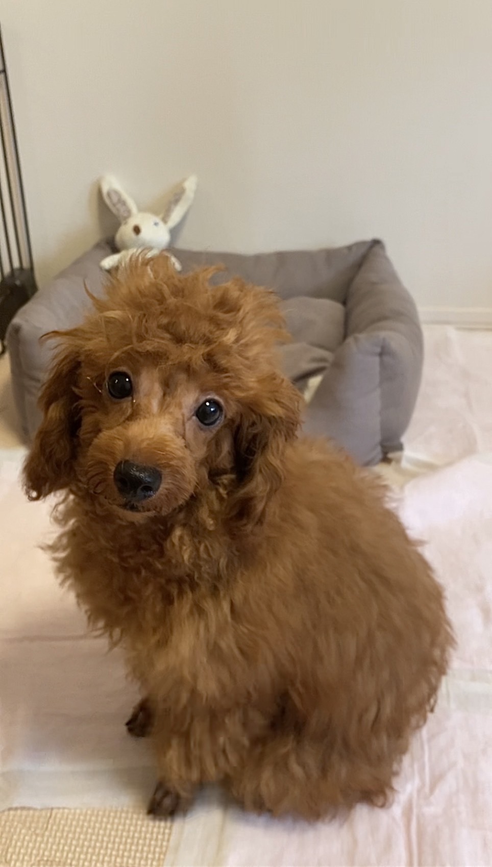 プジョルとの出会い